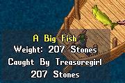 Big Fish.JPG